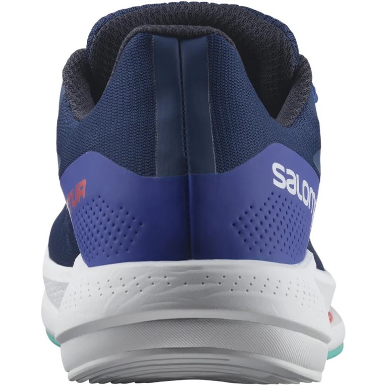 Blue Salomon Spectur Men's Running Shoes | IE TF1607